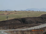 DSCN0367.jpg